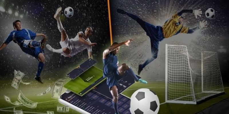 Hoạch định tương lai của checker Piotr Nowak cho trang cược